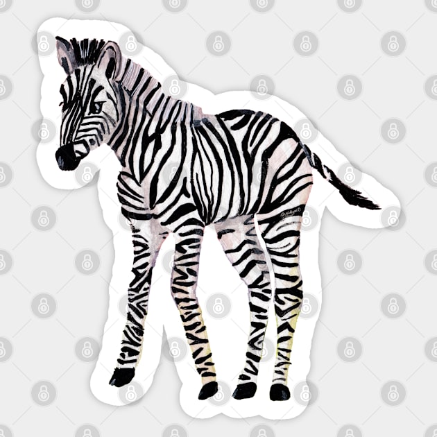 Baby Zebra Sticker by Peleegirl